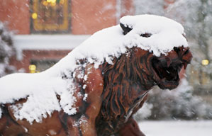 Bearcat Statue in the Snow Bearcat Statue in the Snow