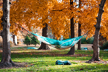 Student in Hammock on Front Lawn Student in Hammock on Front Lawn