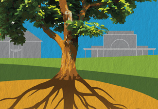 Roots of our Success Roots of our Success