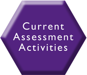 current activities little log
