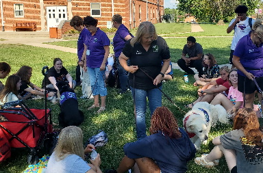 therapy doghs