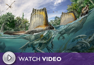Spinosaurus: Lost Giant of the Cretaceous