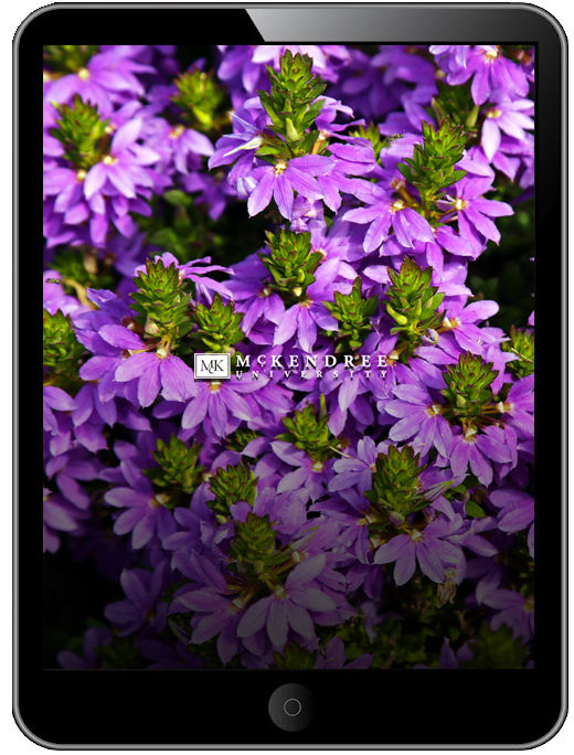 tablet wallpaper 7